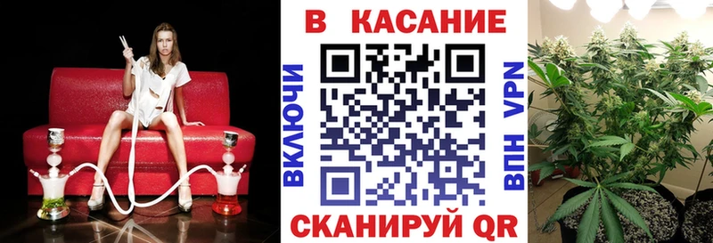 Конопля Козельск